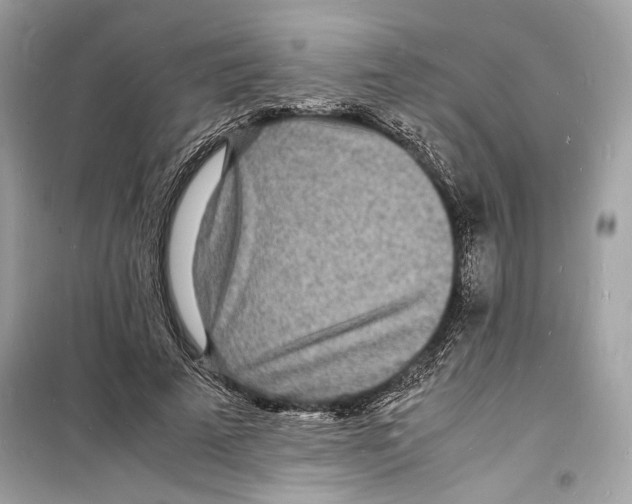 X0000098180689200805221538