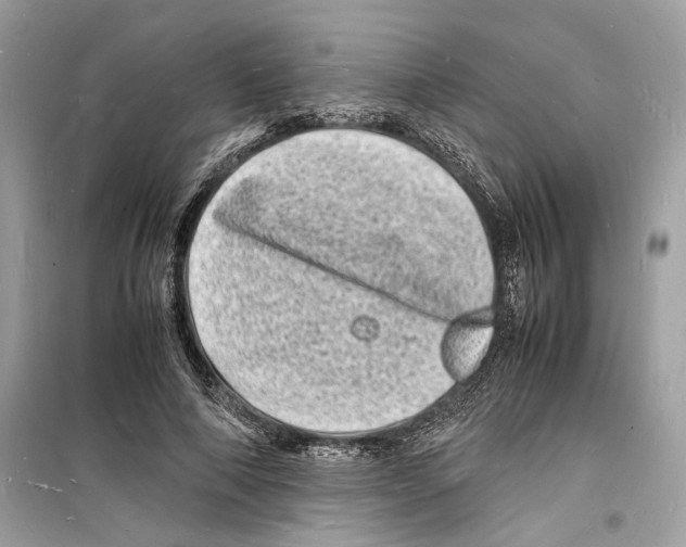 X0000098180690200805221538