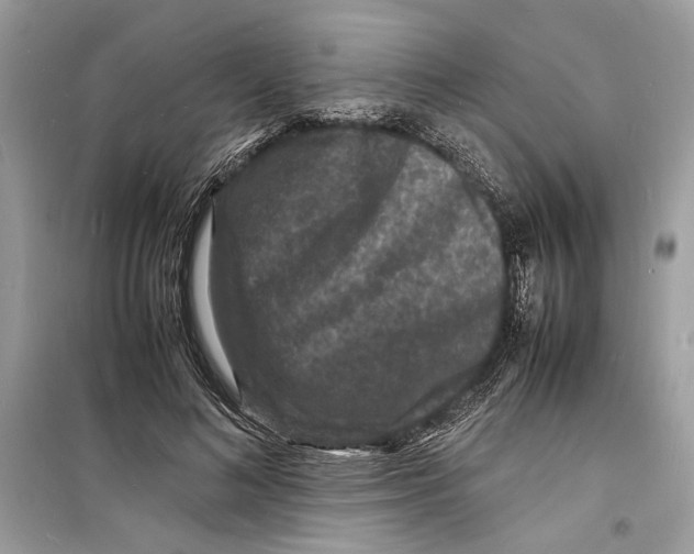 X0000098180692200805221538