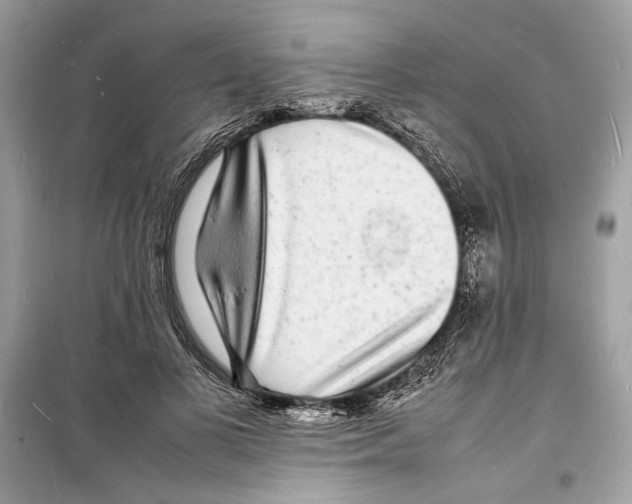 X0000098180693200805221538