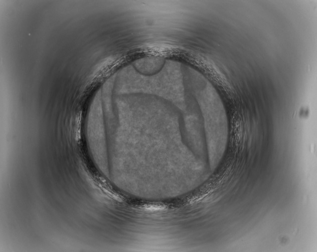 X0000098180694200805221538