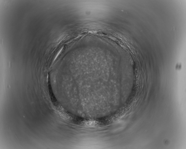 X0000098180695200805221538