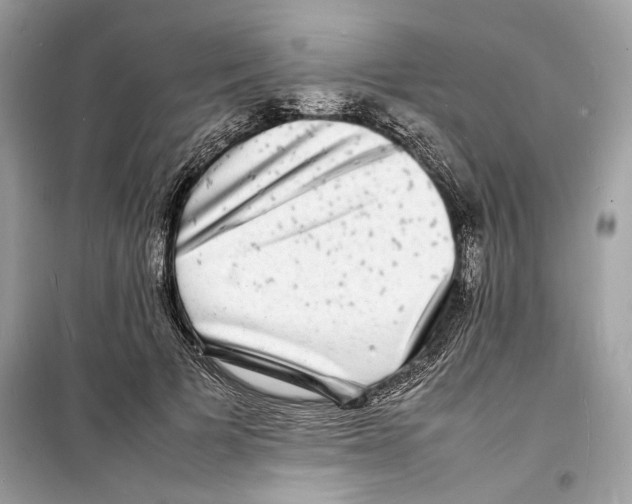 X0000098180697200805221538