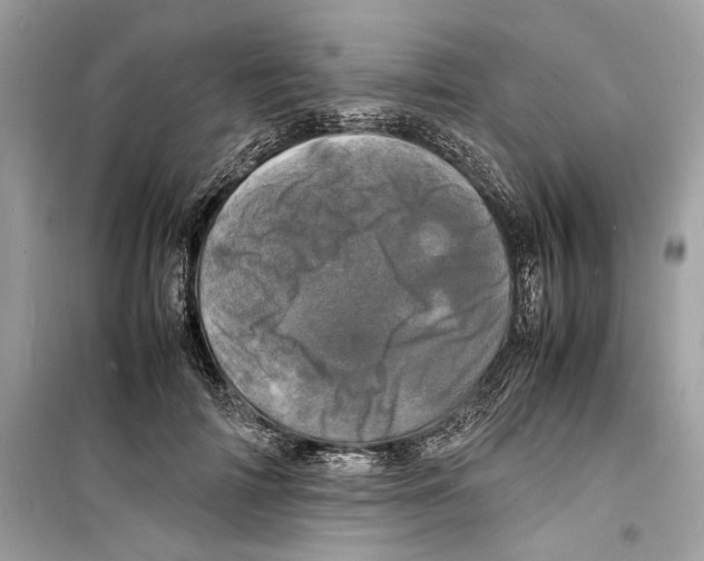 X0000098180698200805221537