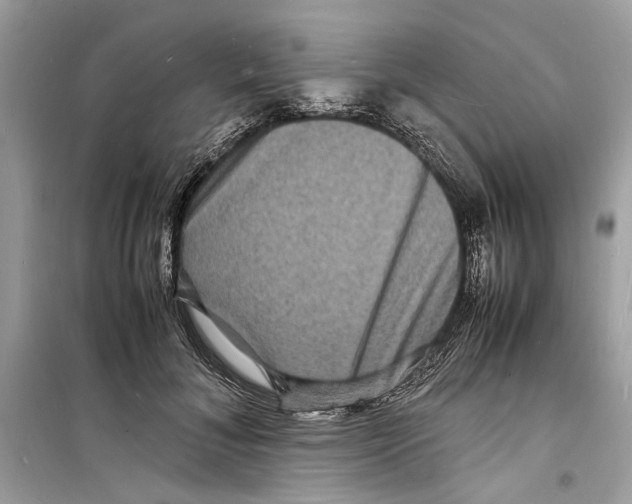 X0000098180700200805221537