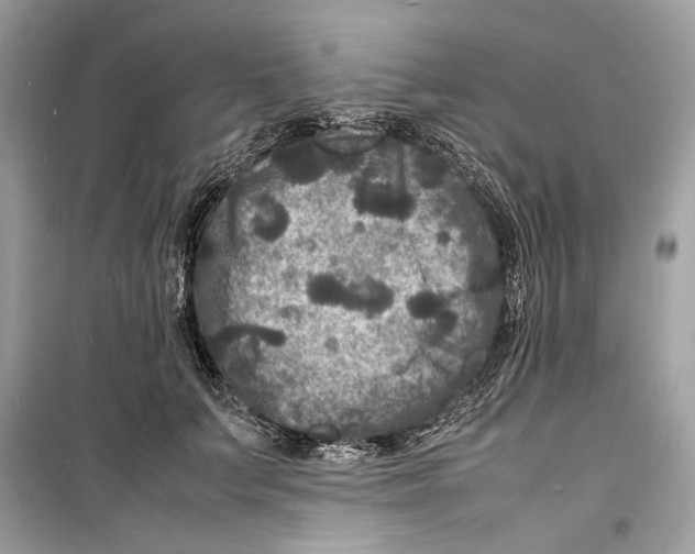 X0000098180703200805221537