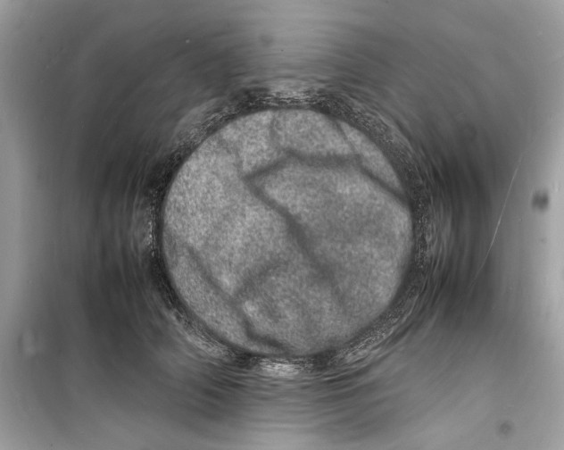 X0000098180706200805221537