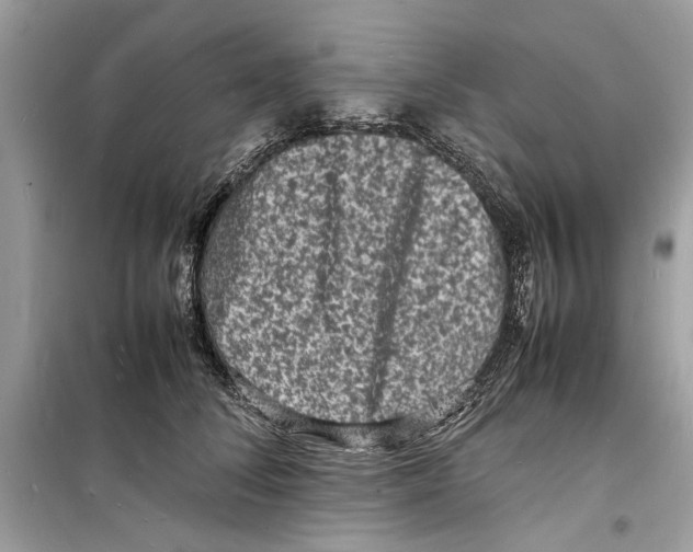 X0000098180708200805221537