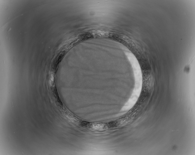 X0000098180709200805221537