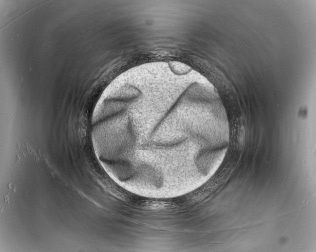 X0000098180710200805221537