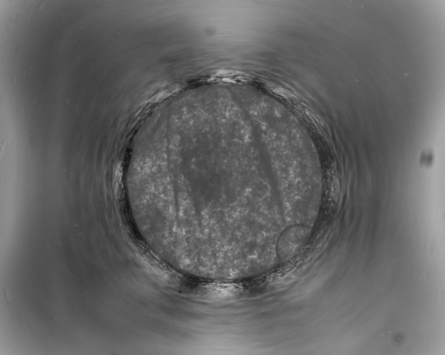 X0000098180711200805221537