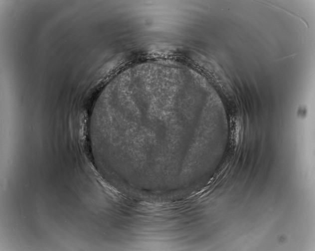 X0000098180712200805221537