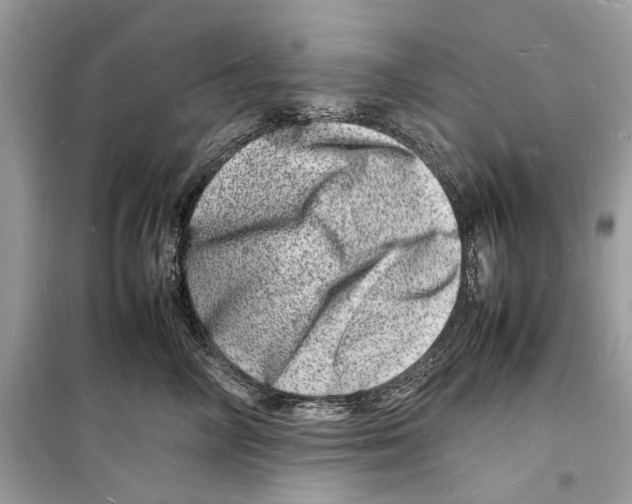 X0000098180714200805221537