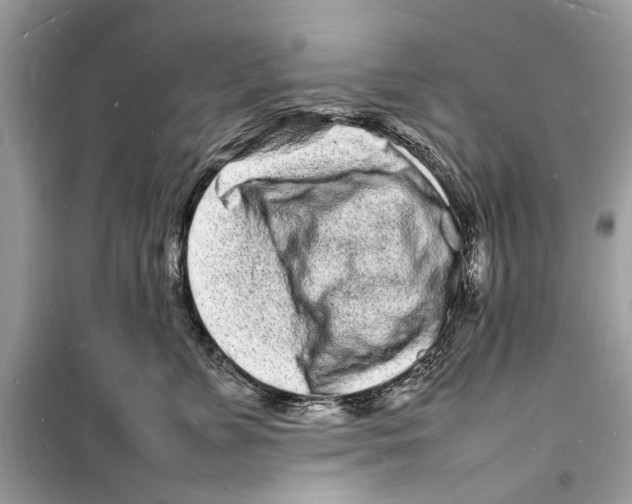 X0000098180715200805221537