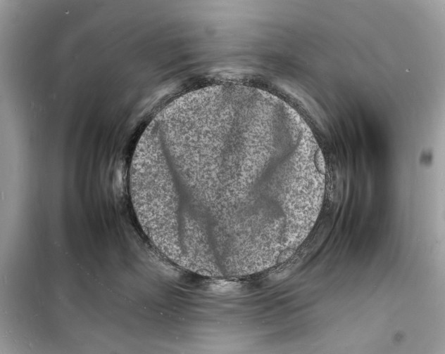 X0000098180718200805221537