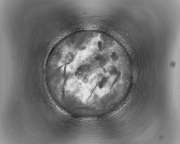 X0000098180721200805221536