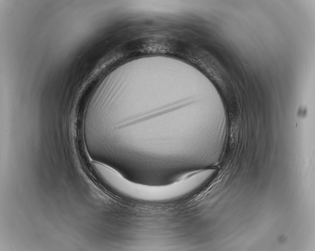 X0000098180722200805221536