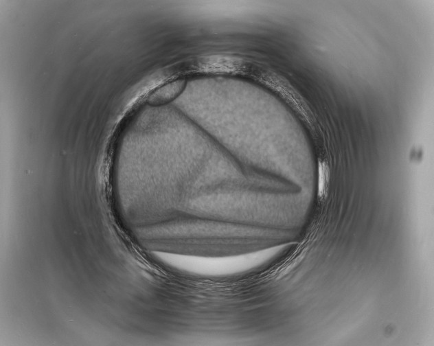 X0000098180723200805221536