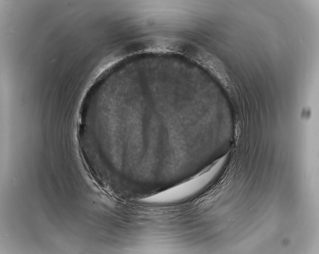 X0000098180724200805221536