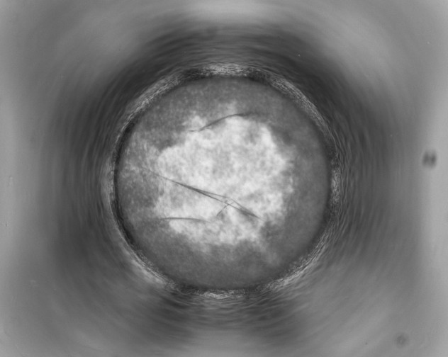 X0000098180725200805221536