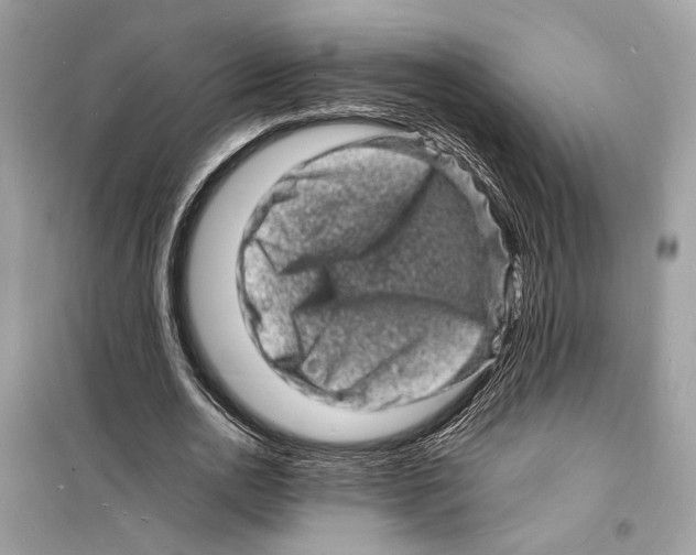 X0000098180726200805221536