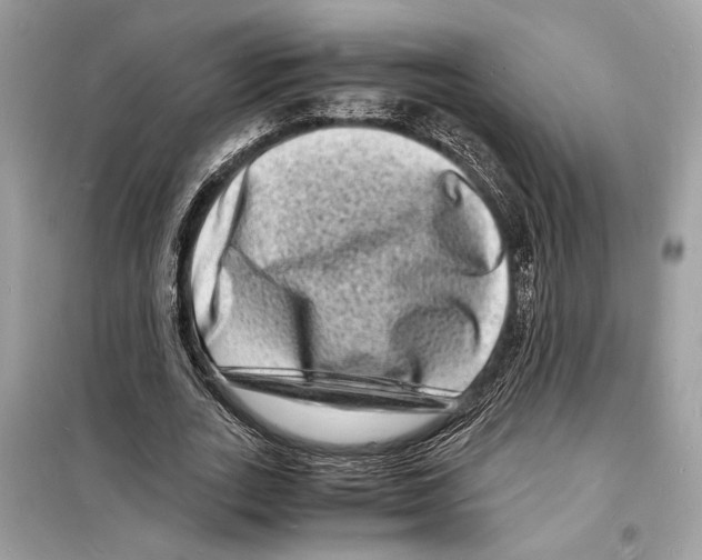 X0000098180727200805221537