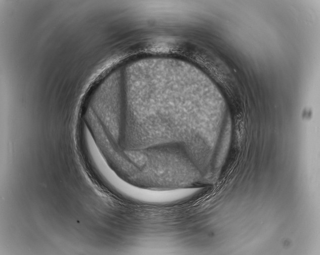 X0000098180728200805221537