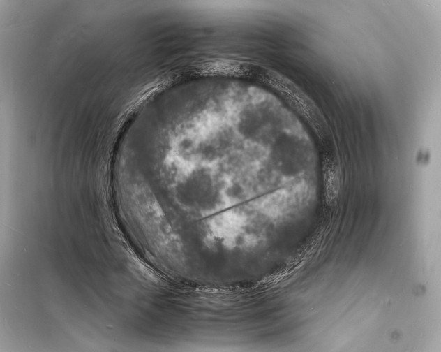 X0000098180729200805221537