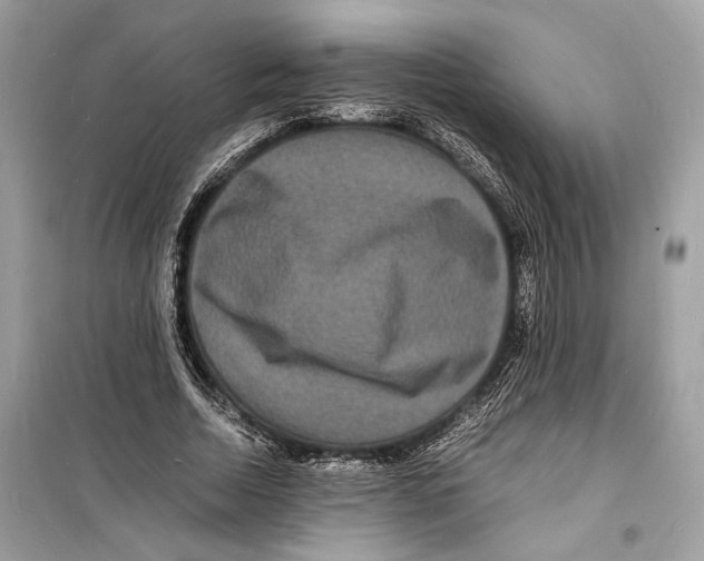 X0000098180730200805221537