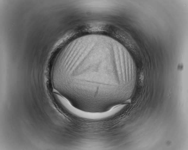 X0000098180732200805221537