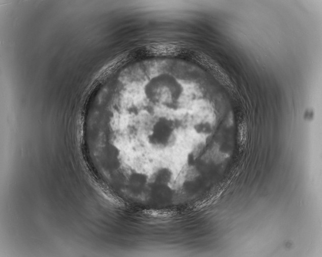 X0000098180733200805221537