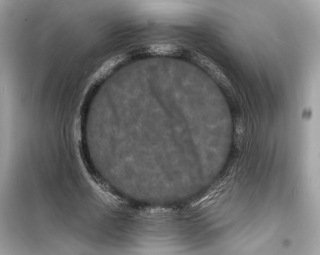 X0000098180734200805221537