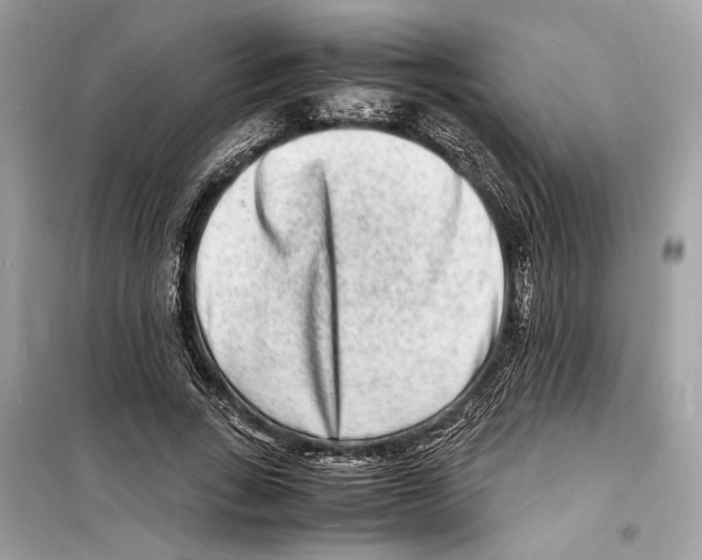 X0000098180735200805221537