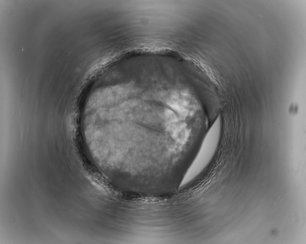 X0000098180736200805221537