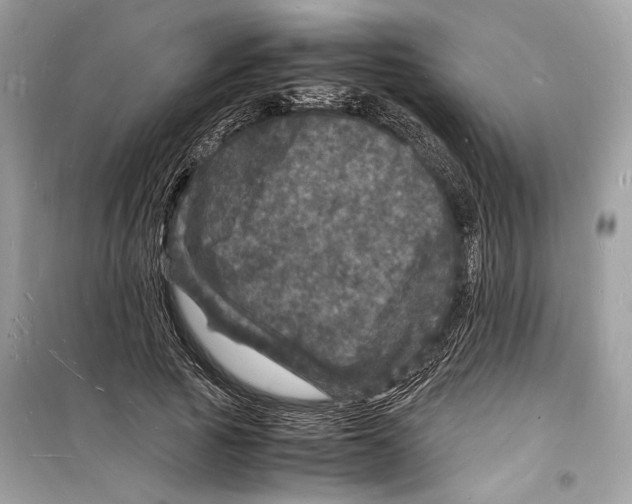 X0000098180737200805221537