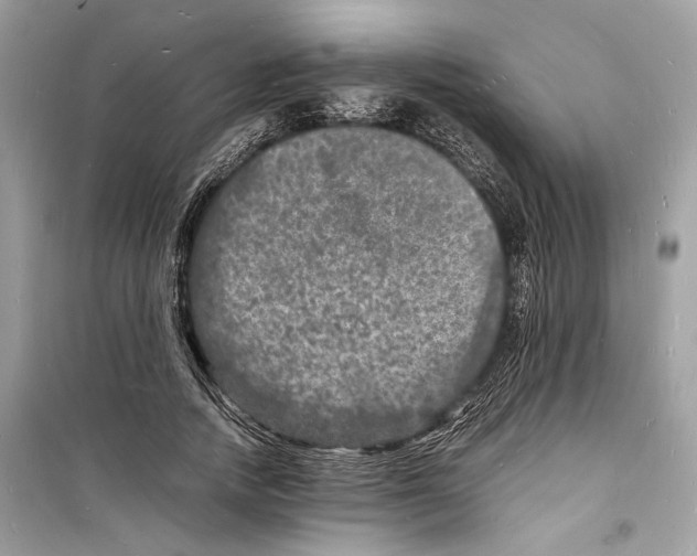 X0000098180738200805221537