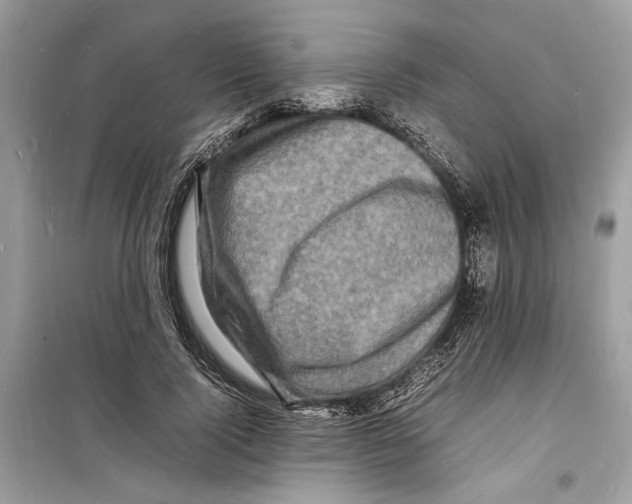 X0000098180740200805221537