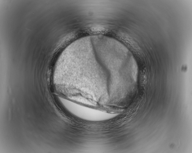 X0000098180742200805221537