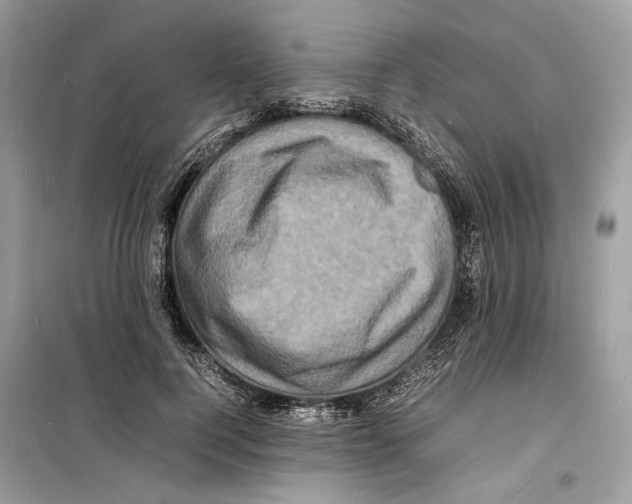 X0000098180744200805221537