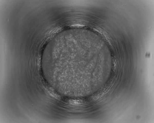 X0000098180745200805221537