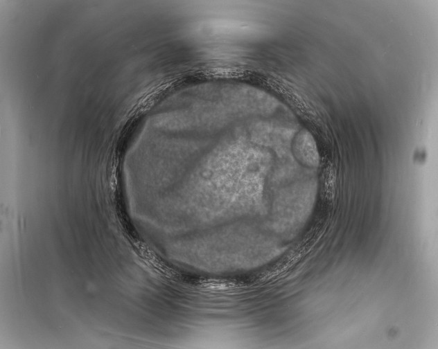 X0000098180746200805221537