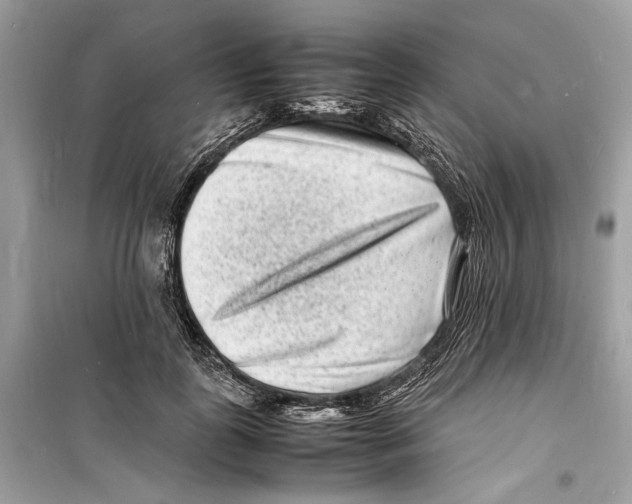 X0000098180747200805221537