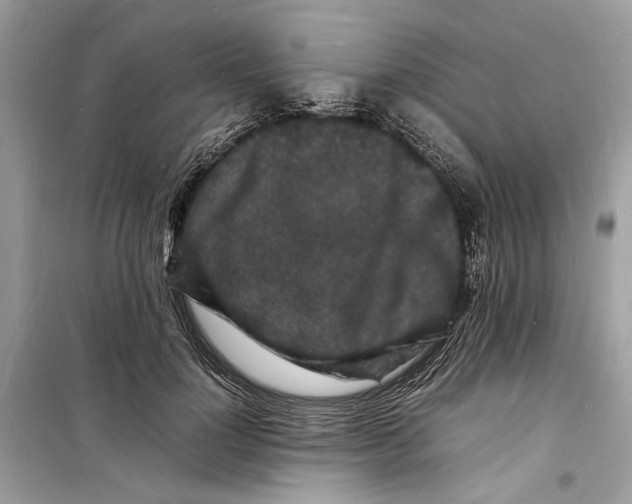 X0000098180748200805221537