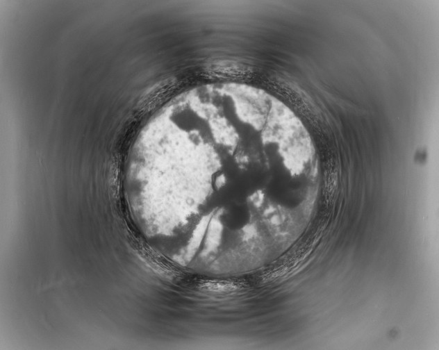 X0000098180749200805221537