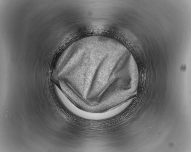 X0000098180750200805221537