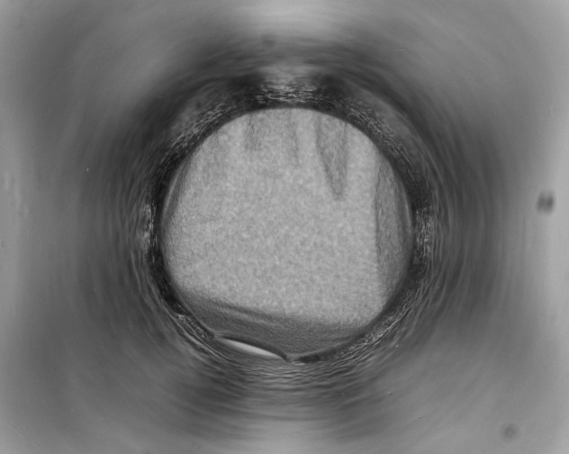 X0000098180752200805221537