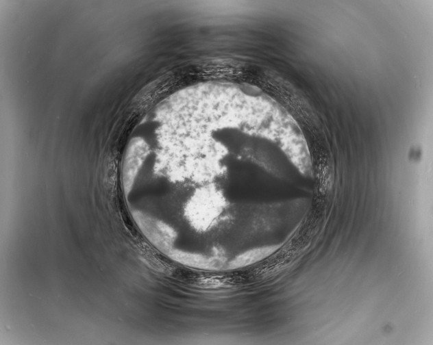 X0000098180753200805221537