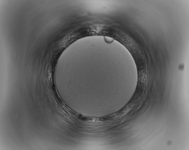 X0000098180754200805221537