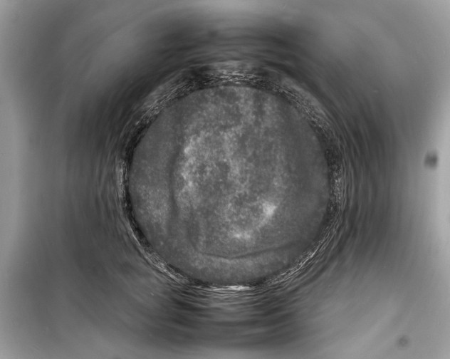 X0000098180757200805221537