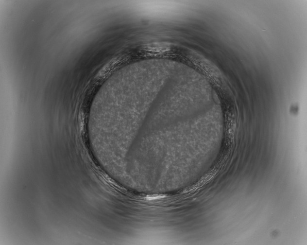 X0000098180758200805221537